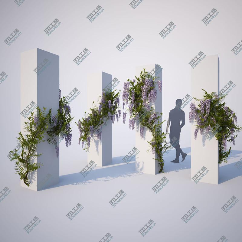 images/goods_img/202104023/Wisteria Collection 01/3.jpg